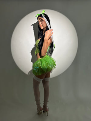 Tinker Bell Costume