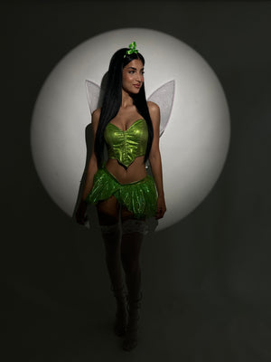 Tinker Bell Costume