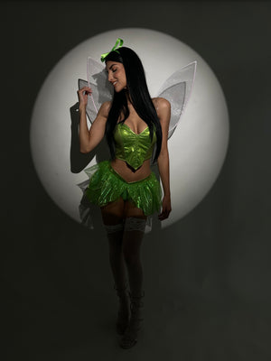 Tinker Bell Costume