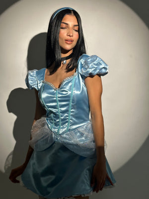 Cinderella Costume