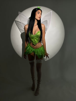 Tinker Bell Costume