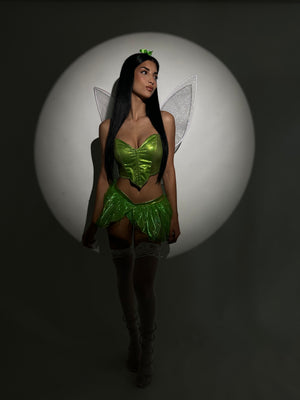 Tinker Bell Costume