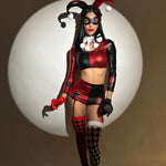 Harley Quinn Costume