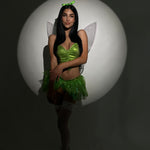 Tinker Bell Costume