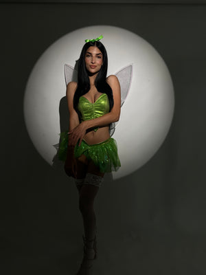 Tinker Bell Costume