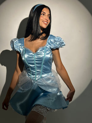 Cinderella Costume