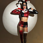 Harley Quinn Costume