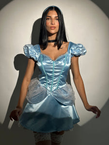 Cinderella Costume