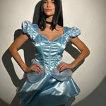 Cinderella Costume