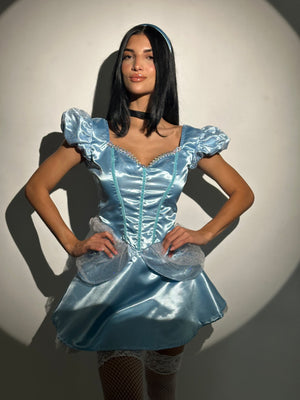 Cinderella Costume