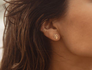 POS - Monstera Leaf Studs Goldfilled